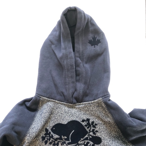 Roots kids youth size Large 9-10 years navy blue and grey hoodie with pocket - Picture 2 of 16